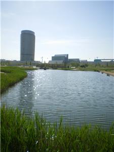 II Acuatlón de Iniciación - Campeonato de Aragón de acuatlón